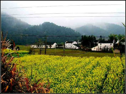 探客戶外手電筒 探客戶外手電筒