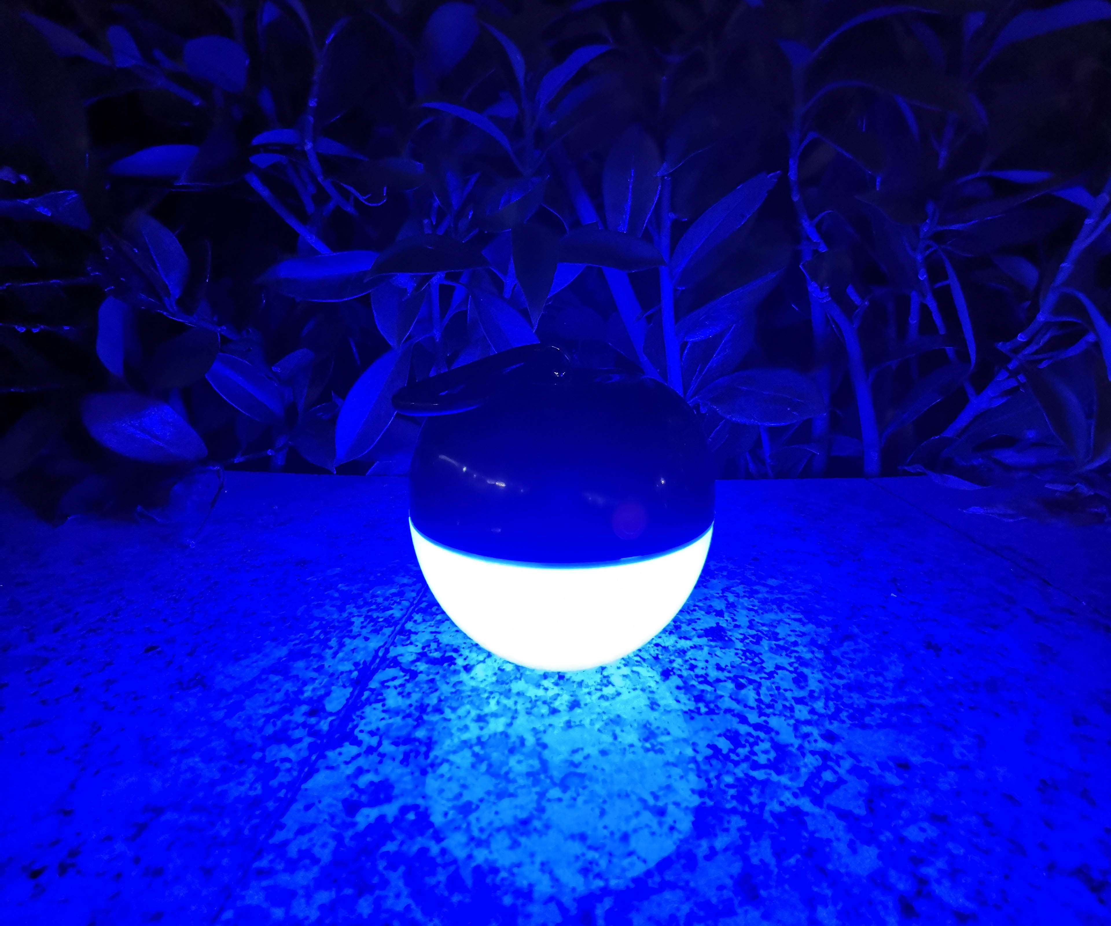 1574912798827613.jpg 1574912798827613.jpg