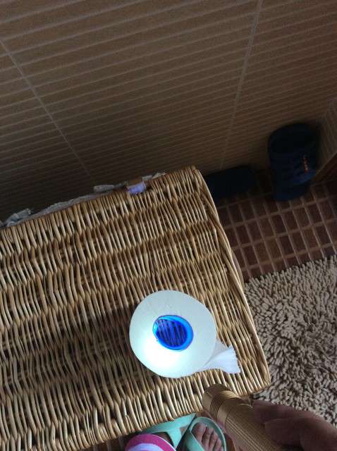  寶媽買了紫光手電，衣服上好多熒光劑，看的心慌害怕